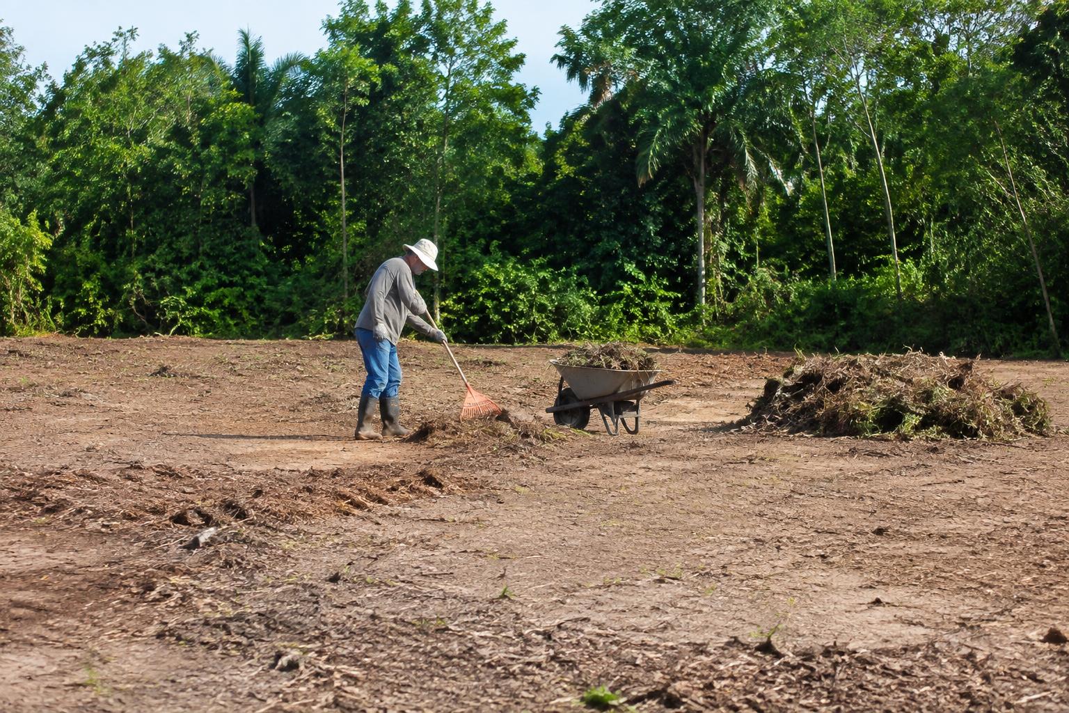 Retiro de residuos vegetales en un terreno despejado